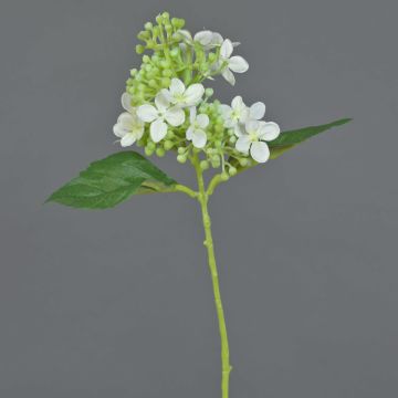 Fausse fleur Hortensia CHABY, blanc-vert, 30cm, Ø9cm