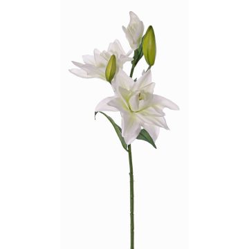Fleur artificielle Lys ISALIE, blanc-vert, 80cm, Ø13-16cm Fleur artificielle Lys ISALIE, blanc-vert, 80cm, Ø13-16cm