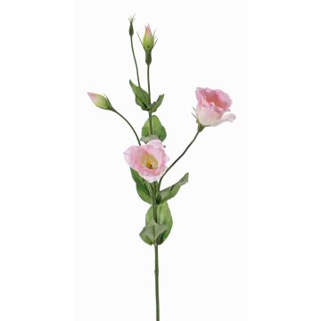 Fleur artificielle Lisianthus JUDIKA, rose, 70cm, Ø5cm Fleur artificielle Lisianthus JUDIKA, rose, 70cm, Ø5cm