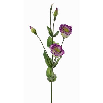 Fleur artificielle Lisianthus JUDIKA, violet-vert, 70cm, Ø5cm Fleur artificielle Lisianthus JUDIKA, violet-vert, 70cm, Ø5cm