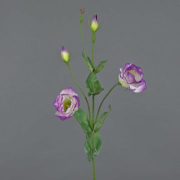Fleur artificielle Lisianthus JUDIKA, violet-vert, 70cm, Ø5cm