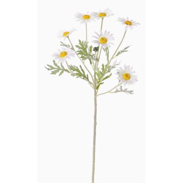 Marguerite décorative LEONIA, blanc, 60cm, Ø5cm