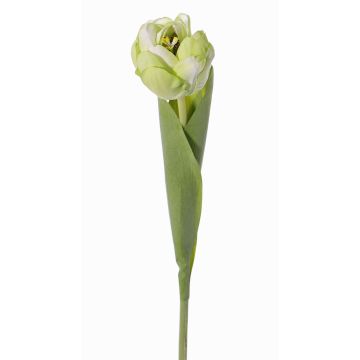 Fausse tulipe ROMANA, vert clair, 45cm, Ø6cm
