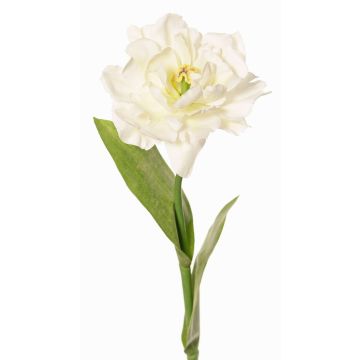 Fausse tulipe perroquet STEFANIE, blanc-vert, 65cm, Ø7cm Fausse tulipe perroquet STEFANIE, blanc-vert, 65cm, Ø7cm