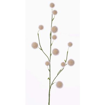 Allium artificiel EMRAH, crème, 80cm, Ø3-4,5cm
