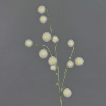 Allium artificiel EMRAH, crème, 80cm, Ø2-4cm