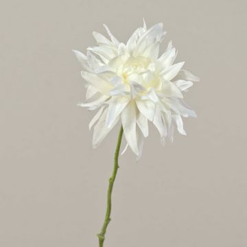 Dahlia décoratif SMILA, crème, 55cm, Ø12cm