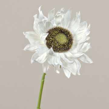 Tournesol artificiel JANIKA, crème, 60cm, Ø12cm