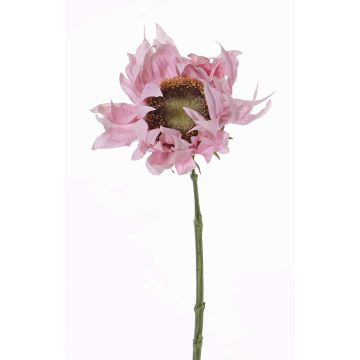Tournesol artificiel JANIKA, rose pâle, 60cm, Ø13cm Tournesol artificiel JANIKA, rose pâle, 60cm, Ø13cm