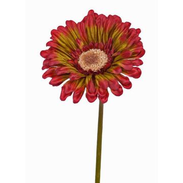 Gerbera fleur artificielle ANNEMARIE, rouge-vert, 50cm, Ø10cm Gerbera fleur artificielle ANNEMARIE, rouge-vert, 50cm, Ø10cm