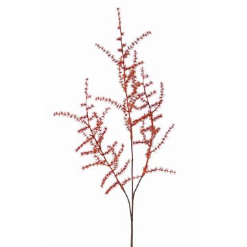 Branche d'Asparagus acutifolius artificielle HANS, orange, 70cm