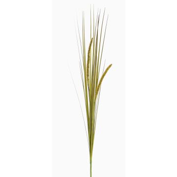Herbe décorative JILL, piquet, panicules, vert-jaune, 90cm Herbe décorative JILL, piquet, panicules, vert-jaune, 90cm