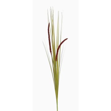Herbe décorative JILL, piquet, panicules, vert-violet, 90cm