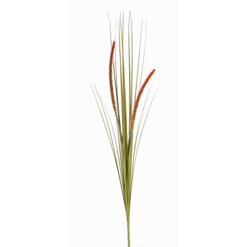 Herbe décorative JILL, piquet, panicules, vert-rouge, 90cm Herbe décorative JILL, piquet, panicules, vert-rouge, 90cm