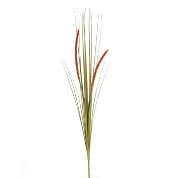 Herbe décorative JILL, piquet, panicules, vert-rouge, 90cm