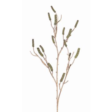 Branche décorative de callistemon SIRIUS avec fruits, vert, 120cm