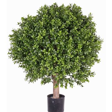 Buis décoratif TOM, tronc naturel, crossdoor, 65cm, Ø50cm Buis décoratif TOM, tronc naturel, crossdoor, 65cm, Ø50cm