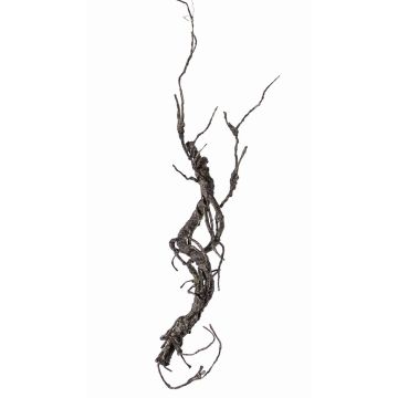 Branche décorative de saule JACE, brun-gris, 55cm Branche décorative de saule JACE, brun-gris, 55cm