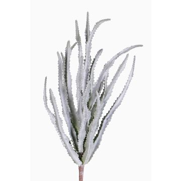 Cactus artificiel Euphorbia trigona REESE à planter, gris-vert, 30cm, Ø20cm Cactus artificiel Euphorbia trigona REESE à planter, gris-vert, 30cm, Ø20cm