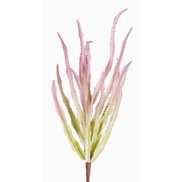 Cactus artificiel Euphorbia trigona REESE à planter, rose-vert, 30cm, Ø20cm