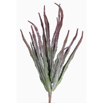 Cactus artificiel Euphorbia trigona REESE à planter, rouge-vert, 30cm, Ø20cm Cactus artificiel Euphorbia trigona REESE à planter, rouge-vert, 30cm, Ø20cm