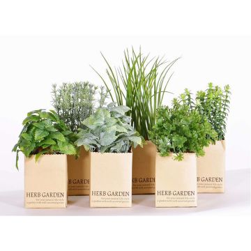 Mélange d'herbes artificielles CHUCK en pot en papier, 6 pièces, vert, 15-25cm Mélange d'herbes artificielles CHUCK en pot en papier, 6 pièces, vert, 15-25cm