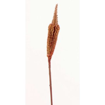 Fausse fleur Bulbinella TALUNA, brun-rouge, 65cm, Ø4cm Fausse fleur Bulbinella TALUNA, brun-rouge, 65cm, Ø4cm