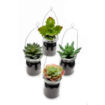 Suspension de plantes succulentes artificielles LASEO dans un bocal décoratif, lot de 4, multicolore, 10cm