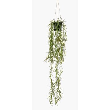 Suspension artificielle avec rhipsalis BOLTEN, vert, 80cm