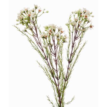 Fleur de cire artificielle MEDEA, crème, 80cm Fleur de cire artificielle MEDEA, crème, 80cm
