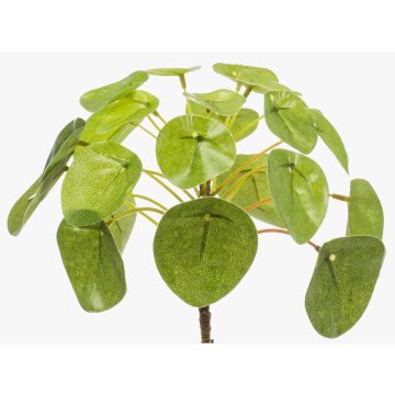 Plante du missionnaire artificielle SYBIL, à planter, vert, 13cm