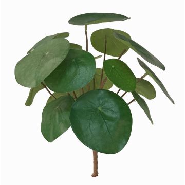 Plante du missionnaire artificielle SYBIL, à planter, vert, 20cm Plante du missionnaire artificielle SYBIL, à planter, vert, 20cm