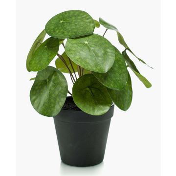 Plante du missionnaire artificielle SYBIL, piquet, vert, 20cm Plante du missionnaire artificielle SYBIL, piquet, vert, 20cm