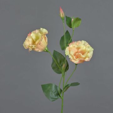 Fleur textile Lisianthus JENO, crème-rose, 60cm