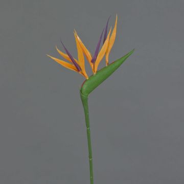 Fleur artificielle Strelitzia ZETKIN, orange-violet, 65cm