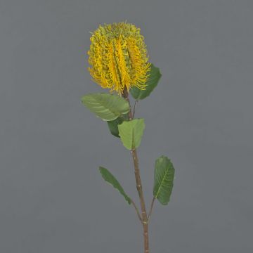 Fleur textile Banksia CONAKIR, jaune, 55cm, Ø6,5cm