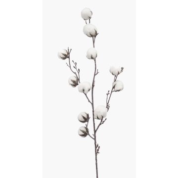 Branche de coton décorative CASAS, en fleurs, vert, 85cm