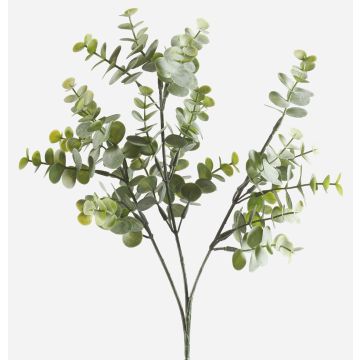 Branche d'eucalyptus décorative GIV, vert-gris, 65cm