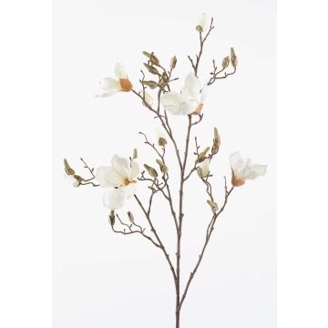 Fleur textile magnolia CAELO, crème, 105cm Fleur textile magnolia CAELO, crème, 105cm