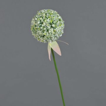 Fausse fleur Allium DURBAN, blanc, 70cm