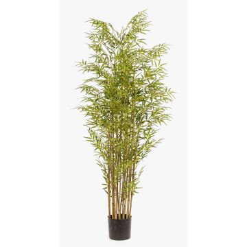 Bambou artificiel SATOKO, tiges naturelles, 180 cm Bambou artificiel SATOKO, tiges naturelles, 180 cm