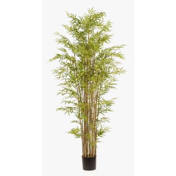 Bambou artificiel SATOKO, tiges naturelles, 210 cm Bambou artificiel SATOKO, tiges naturelles, 210 cm