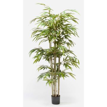 Bambou en plastique TAMANE, tiges naturelles, 180cm Bambou en plastique TAMANE, tiges naturelles, 180cm