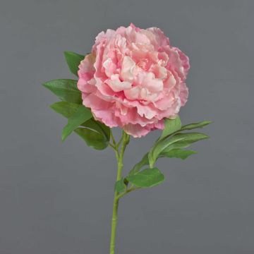Pivoine décorative DIVIN, rose, 65cm