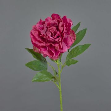 Pivoine décorative DIVIN, fuchsia, 65cm