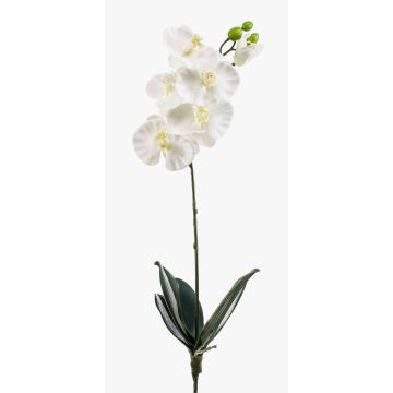 Fleur artificielle Orchidée ISIS, à piquer, blanc, 60cm