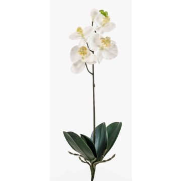 Fleur artificielle Orchidée ISIS, à piquer, blanc, 40cm