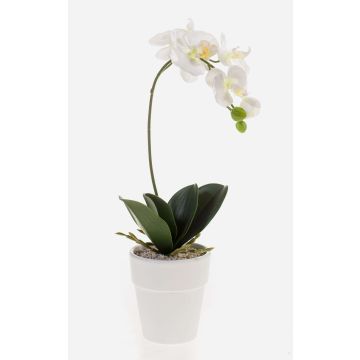 Orchidée artificielle Phalaenopsis ISIS, pot en céramique, blanc, 40 cm Orchidée artificielle Phalaenopsis ISIS, pot en céramique, blanc, 40 cm