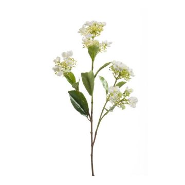 Hortensia décoratif ALAZNE, crème, 75cm