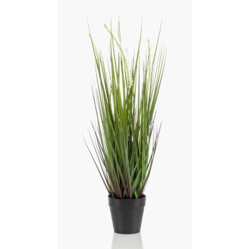 Herbe décorative OTIS avec panicules, vert, 55cm Herbe décorative OTIS avec panicules, vert, 55cm